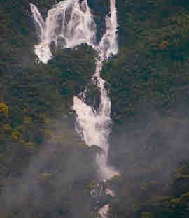 Sinharaja Hills Sri Lanka