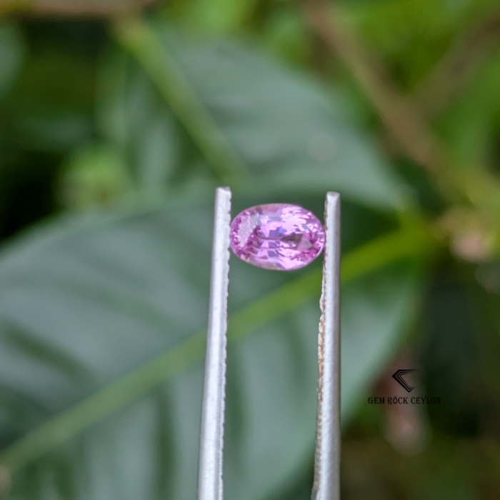 Natural Baby Pink Sapphire - Image 2