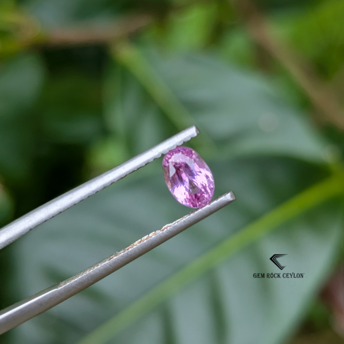 Natural Baby Pink Sapphire - Image 4